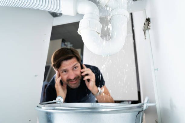 Best Drain Cleaning Services  in Homer, IL