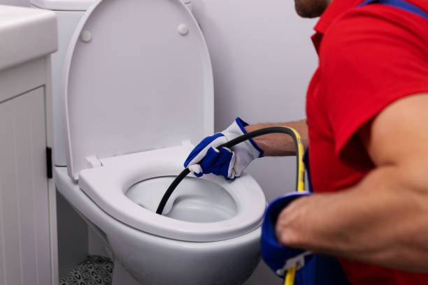 Best Plumbing Services Near Me  in Homer, IL