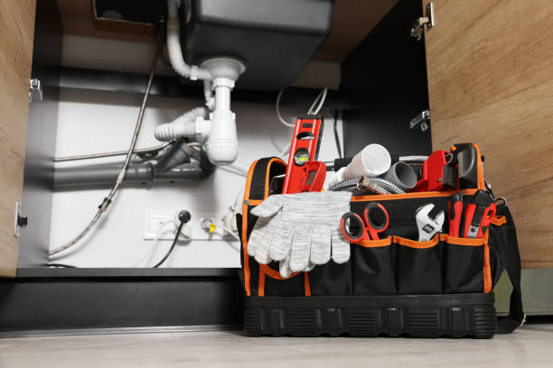 Best Emergency Plumber  in Homer, IL