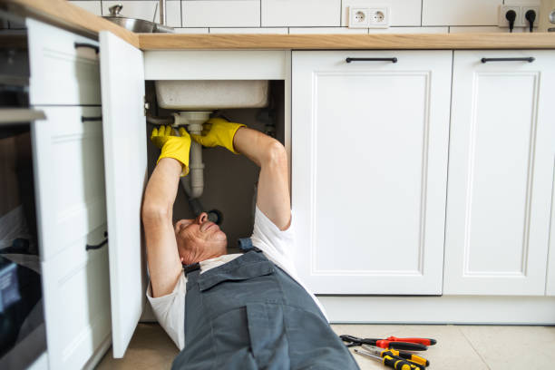 Best Best Plumbers Near Me  in Homer, IL