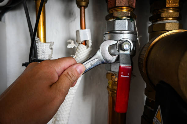 Best Sewer Cleaning Services  in Homer, IL